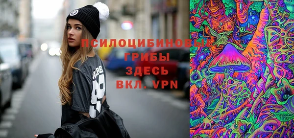 шишки Абдулино