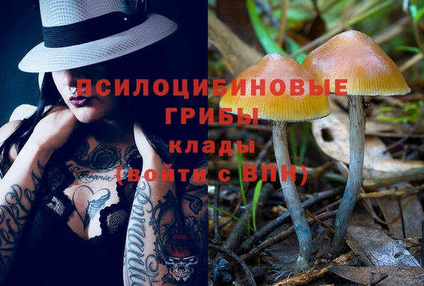 PSILOCYBIN Абаза